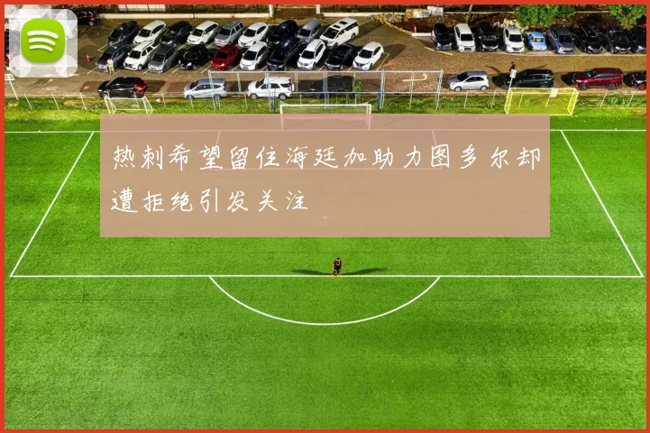 热刺希望留住海廷加助力图多尔却遭拒绝引发关注